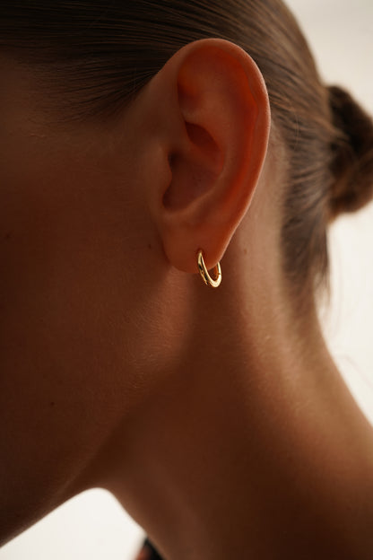 Small Oblong Hoop Earrings