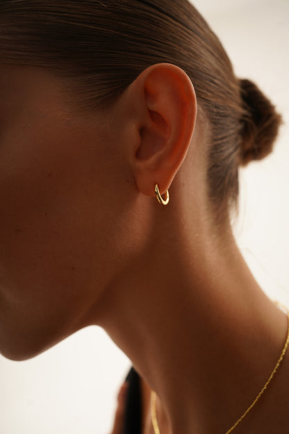 Small Oblong Hoop Earrings