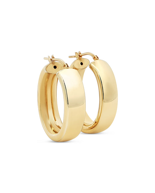 The Sleek Polished One Earrings