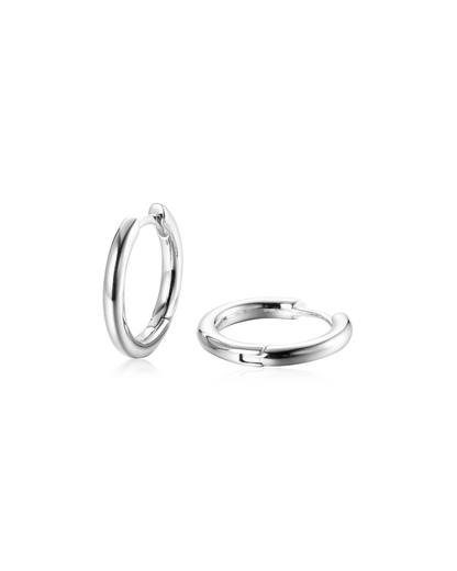 Small Hoop Earrings