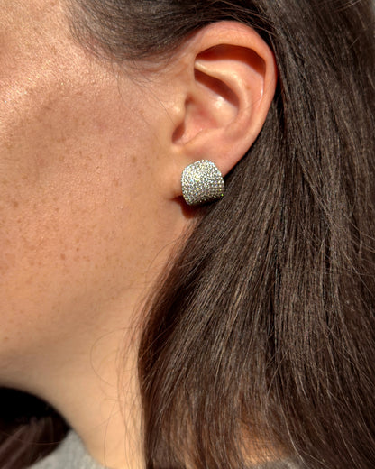 The Vivid One Earrings