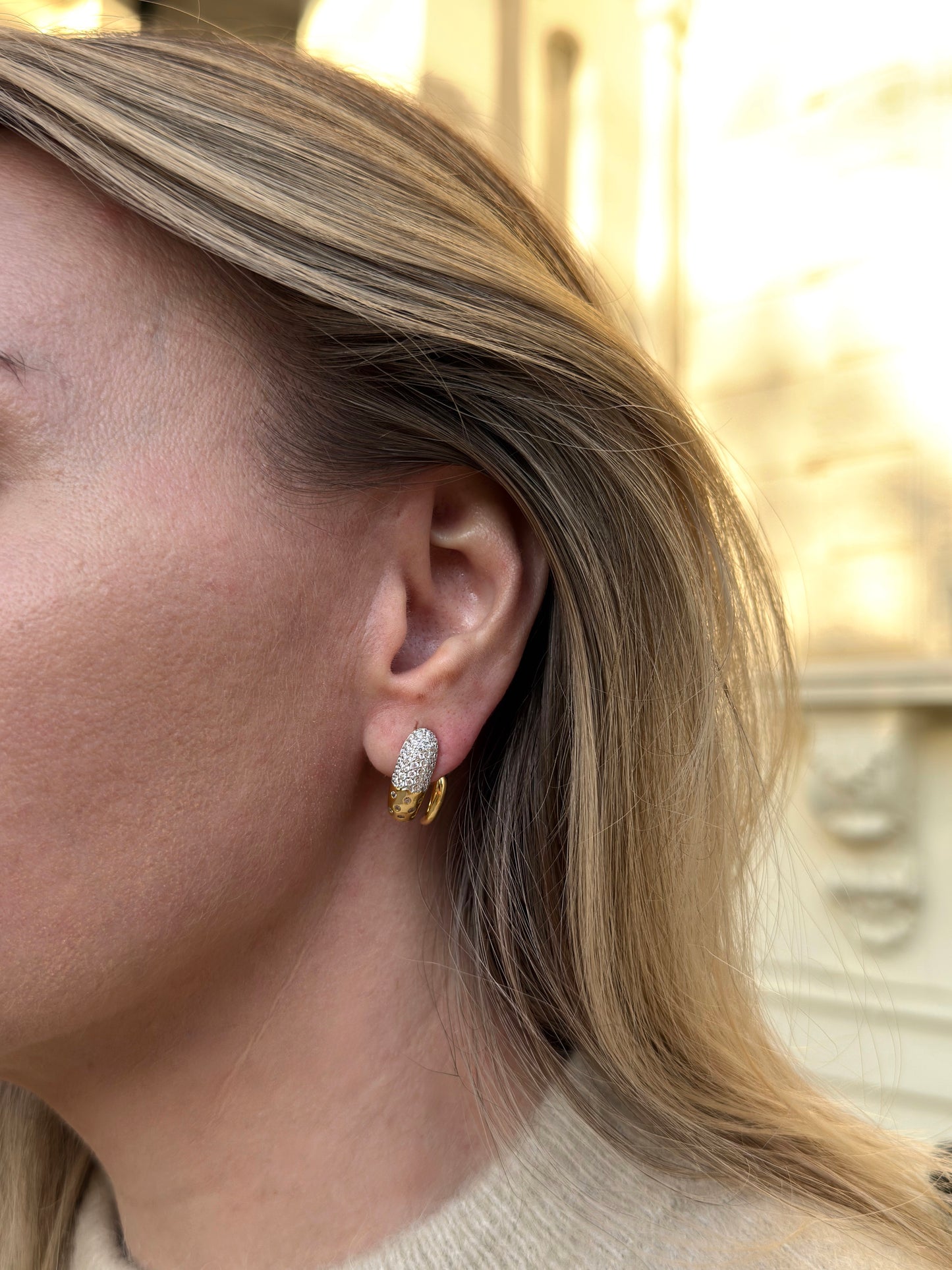 The Vivid One Curve Earrings
