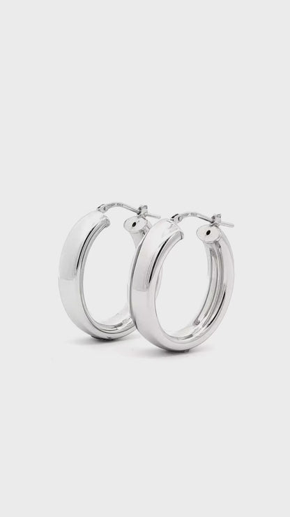 The Sleek Polished One Earrings