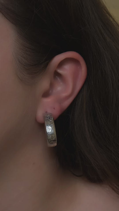 The Sleek Polished One Earrings